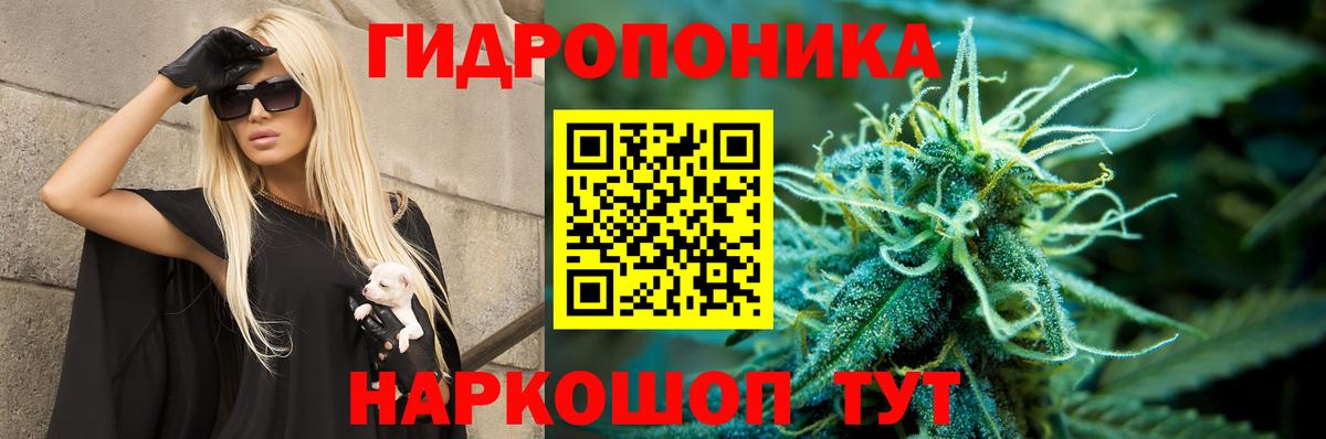 Бошки Шишки планчик Вичуга